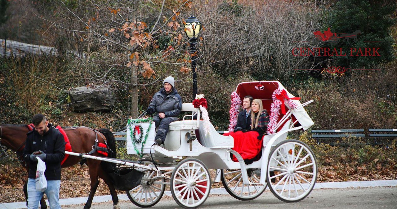 carriage rides in highland park texas