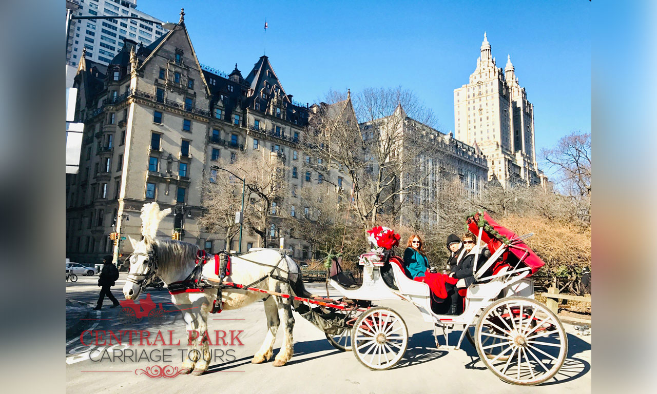 Central park buggy tours on sale